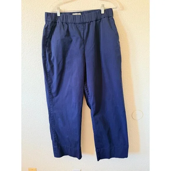 Everlane The Easy Pant Organic Cotton Pull-On Navy Size XL Casual Comfy - Picture 2 of 16
